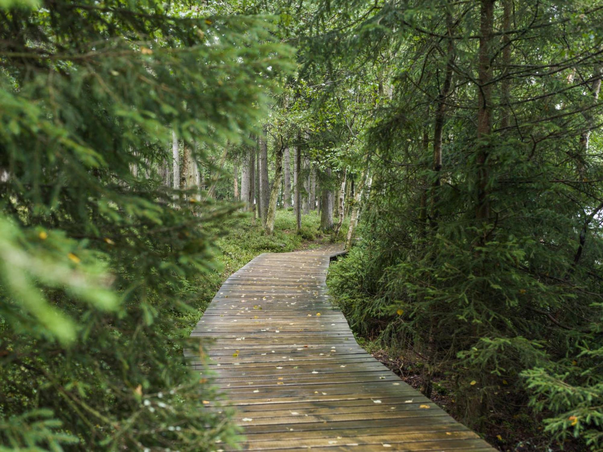 Falkensteiner Spa Resort Marianske Lazne Luaran gambar The boardwalk at the end of the trail
